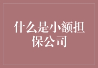 小额担保公司：金融领域的新星与挑战