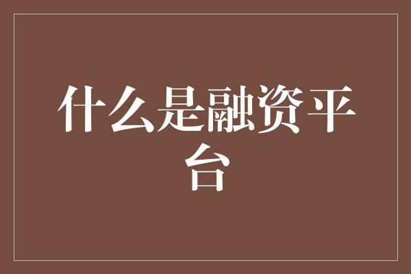 什么是融资平台