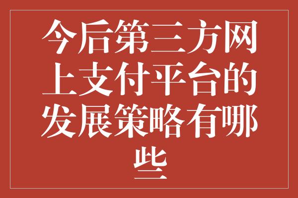 今后第三方网上支付平台的发展策略有哪些