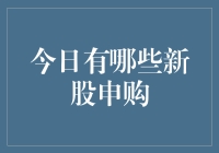 今日新股申购：一场神秘的股市寻宝游戏