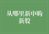 如何有效地申购新股：一份投资者指导手册