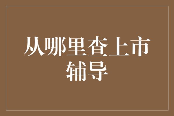 从哪里查上市辅导