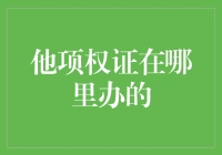 他项权证办理指南：条款、流程与技巧