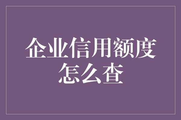 企业信用额度怎么查