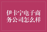 伊卡宁电子商务公司真的适合你投资吗？