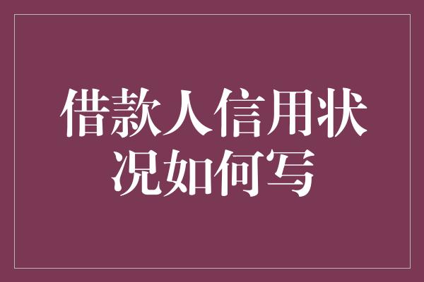 借款人信用状况如何写