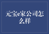 元宝e家公司：一场互联网与传统行业的甜蜜邂逅