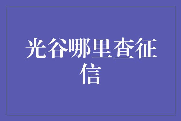 光谷哪里查征信