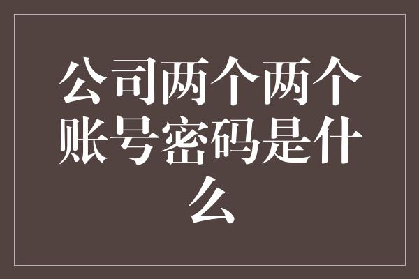 公司两个两个账号密码是什么