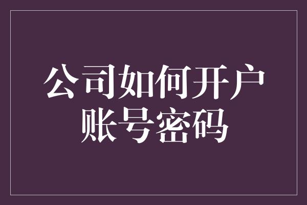 公司如何开户账号密码