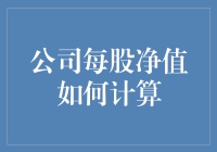 探寻公司价值：每股净值计算的深度解析