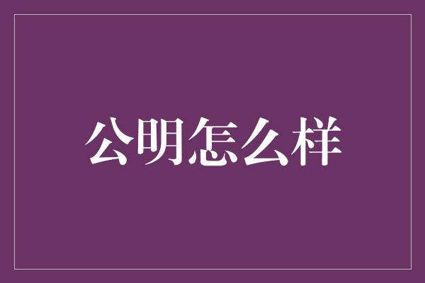 公明怎么样