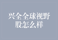 兴全全球视野股票基金：把握全球投资机会的利器