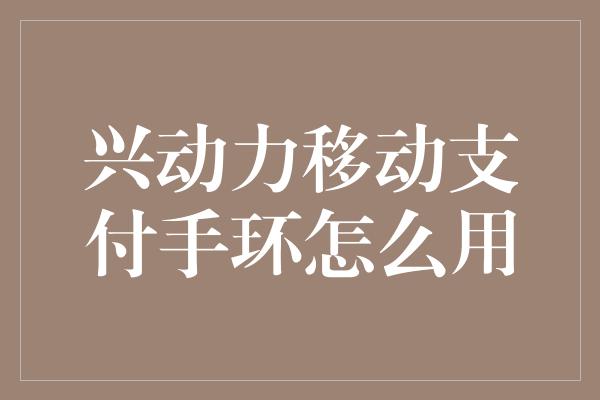 兴动力移动支付手环怎么用