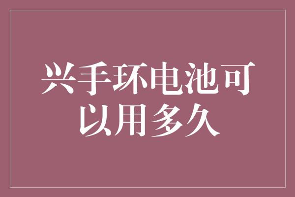 兴手环电池可以用多久