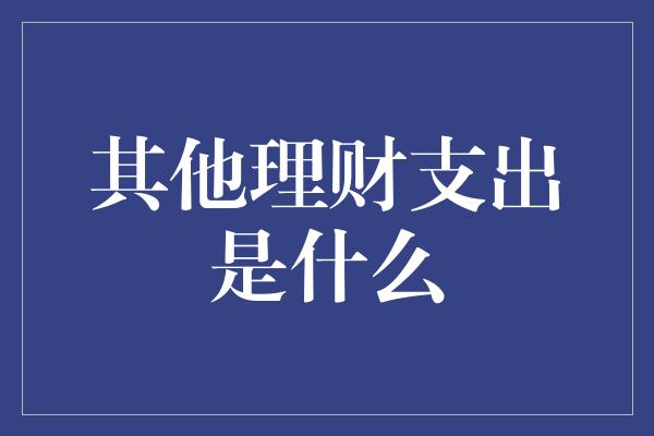 其他理财支出是什么