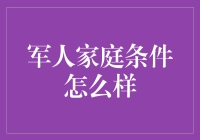 军人家庭的生活条件：光荣与挑战并存