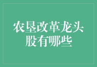 农垦改革龙头股：引领中国现代农业发展