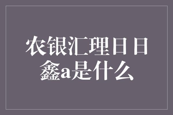 农银汇理日日鑫a是什么