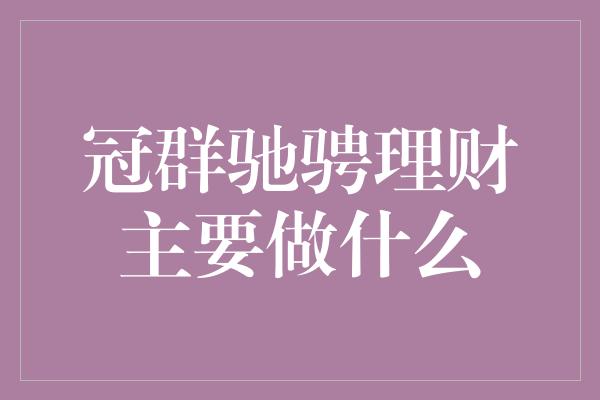 冠群驰骋理财主要做什么