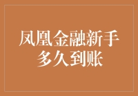 凤凰金融新手投资资金多久到账：解析新手投资者的首次体验