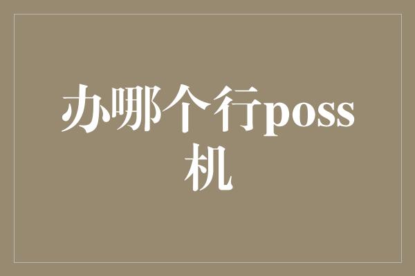 办哪个行poss机