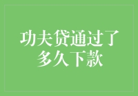 功夫贷究竟用了多长时间才肯放款？ 这年头，借钱比练武功还难！