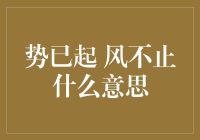 势已起，风不止？新手该如何把握投资机遇