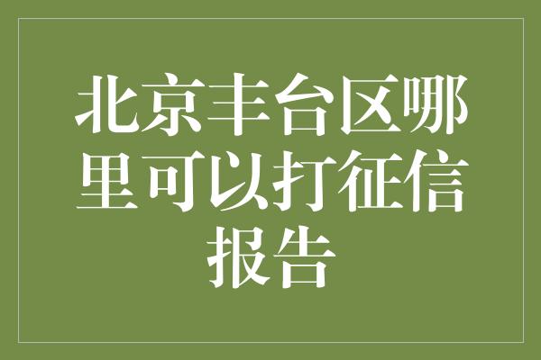 北京丰台区哪里可以打征信报告