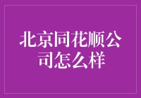 北京同花顺公司，带你从新手成长为股市大神的神奇之旅