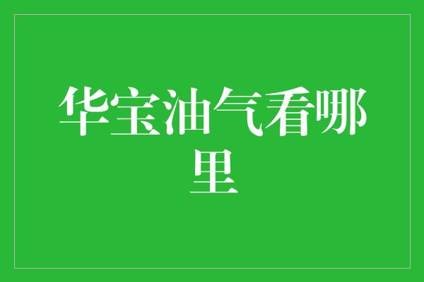 华宝油气看哪里