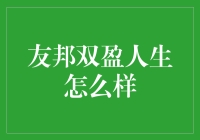 友邦双盈人生：稳健投资与风险分散的完美结合