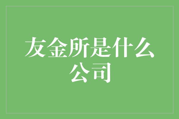 友金所是什么公司