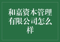 和嘉资本：一场投资界的变形记