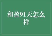 和盈91天：一场理财的冒险之旅