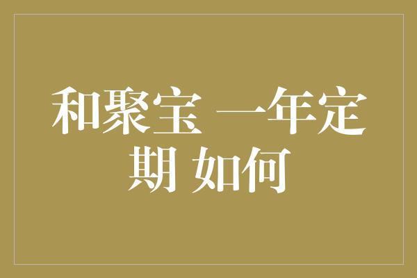 和聚宝 一年定期 如何