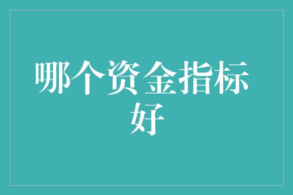 哪个资金指标 好