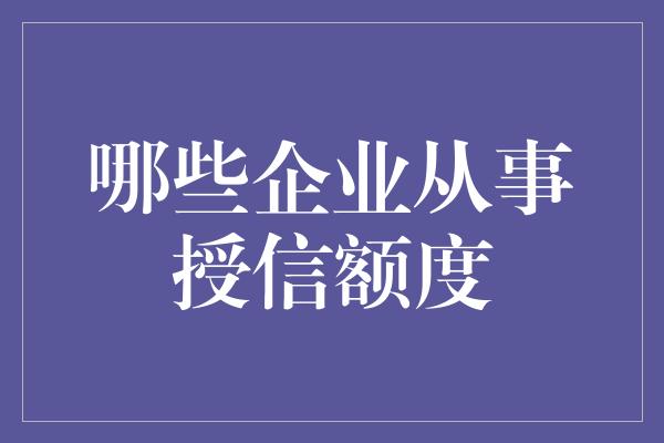 哪些企业从事授信额度