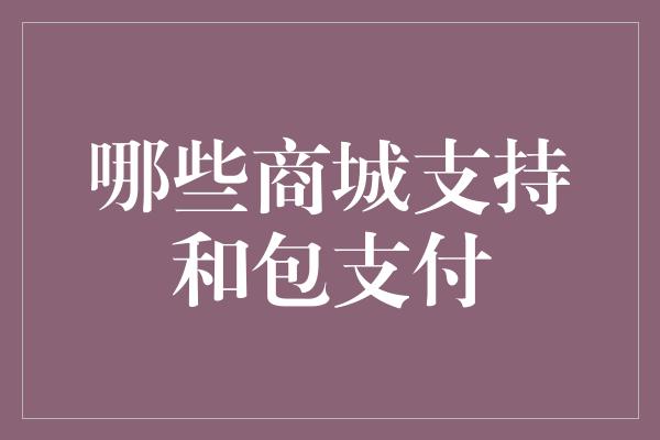 哪些商城支持和包支付