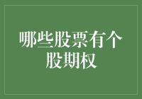 股市投资策略：哪些股票具有个股期权？