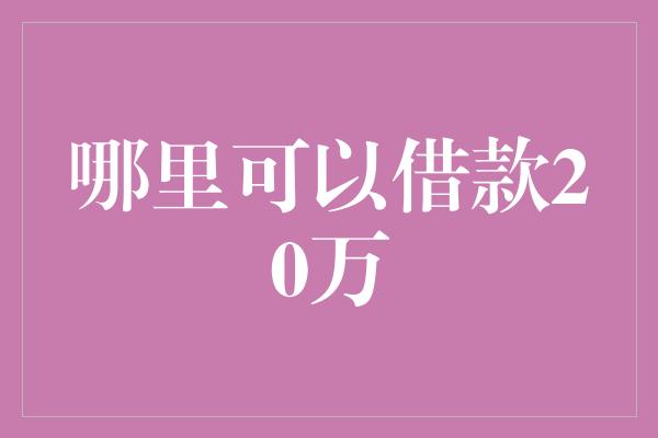 哪里可以借款20万