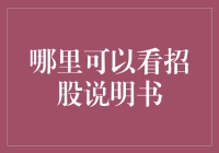 股市新手如何获取并解析招股说明书：一个全面的指南