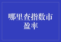 如何查询指数市盈率：一份详尽指南