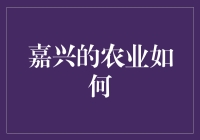 嘉兴农夫：如何把水稻田变成王者荣耀比赛现场