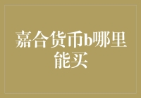 嘉合货币B基金：深度解析与投资建议