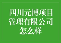 四川元博项目管理有限公司：一个项目经理的奇幻冒险之旅