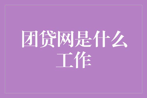 团贷网是什么工作