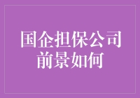 国企背景下的担保公司：一场不太保险的冒险？