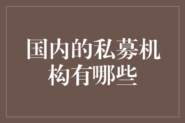 国内的私募机构有哪些