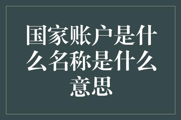 国家账户是什么名称是什么意思